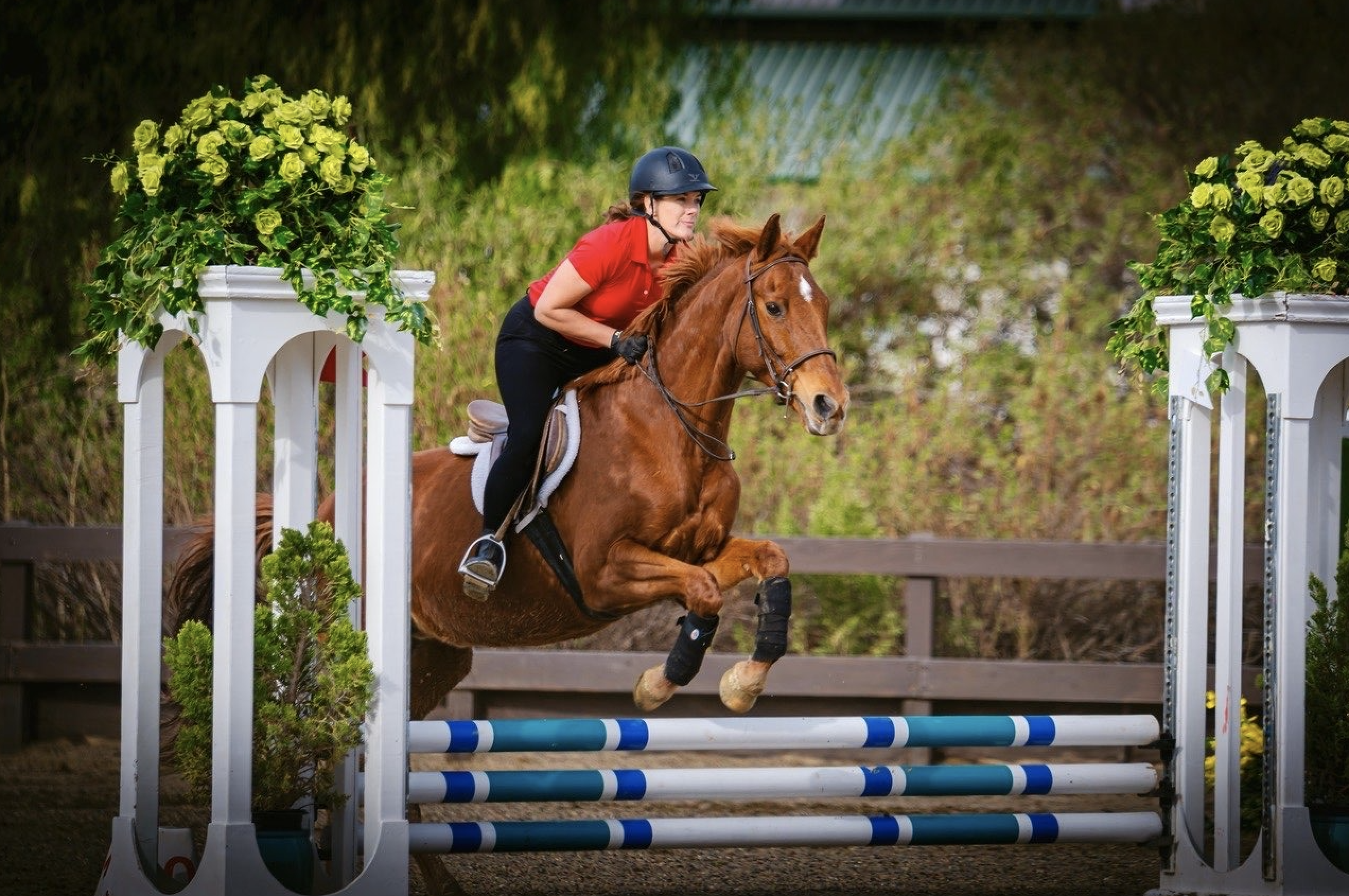 Vanessa_HorseJumping